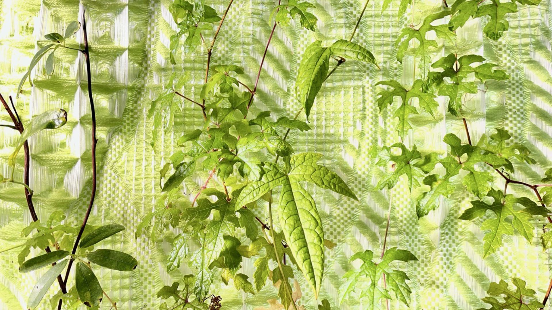 Crafting Textiles for Plant-Human interactions