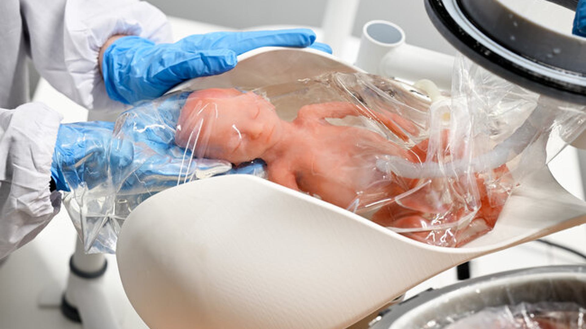 A water-based incubator for extremely premature babies