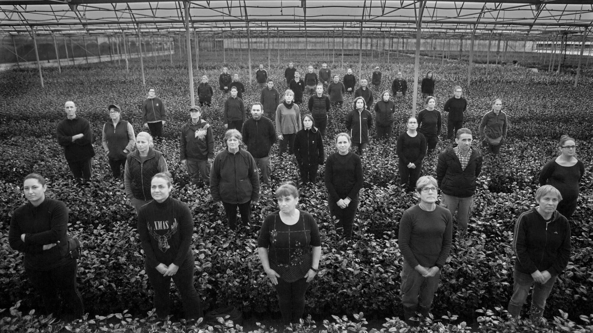 Greenhouse workers in Tomiño, Galicia