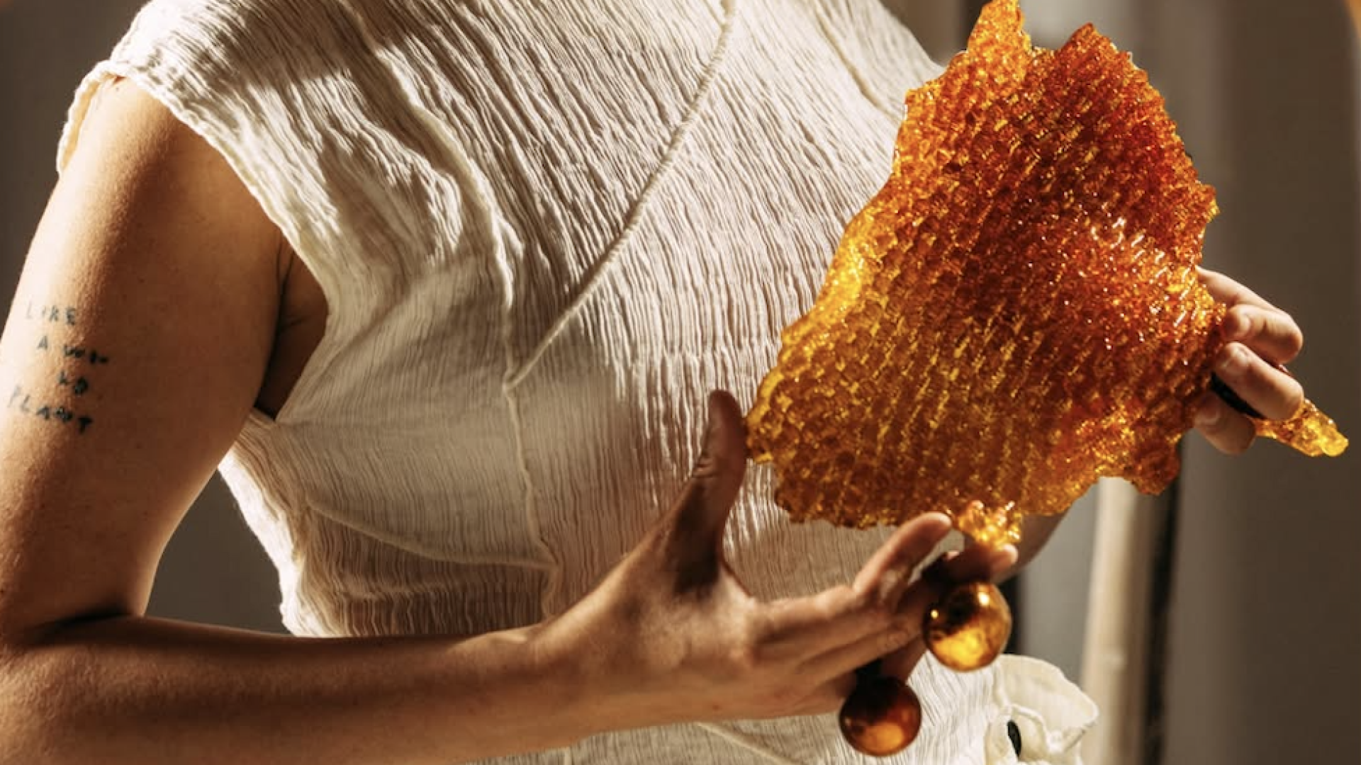 From insect resin to growing crystals: what happens when nature designs itself