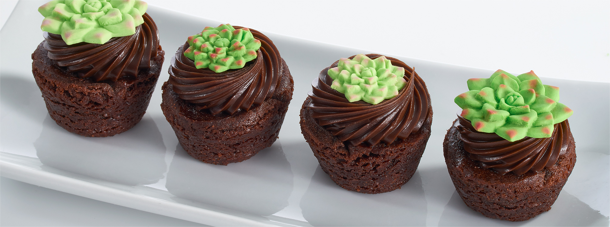Succulents on Brownies