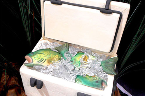 Cake Decorator Spotlight Fish In Cooloer