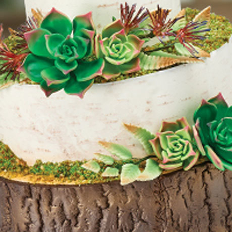 For Nature-Inspired Cakes, Our Tree Bark Impression Mat is a Must-Have