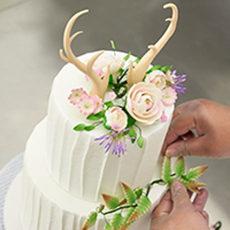 Insider Secrets for Stunning Display Cakes