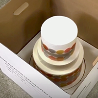Decorating Tips: Using Cake Delivery Systems