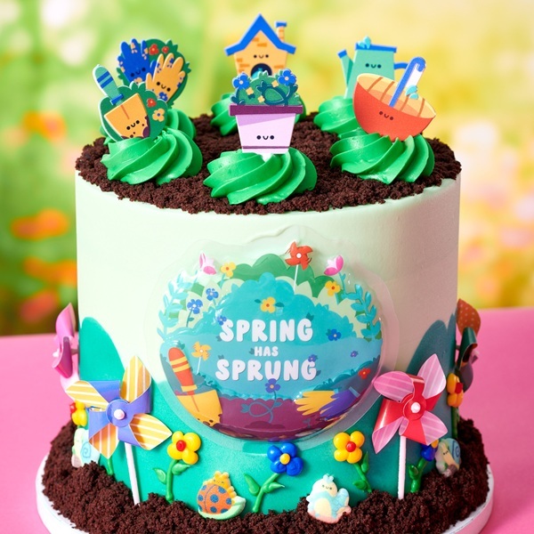 Spring has Sprung Cake Design