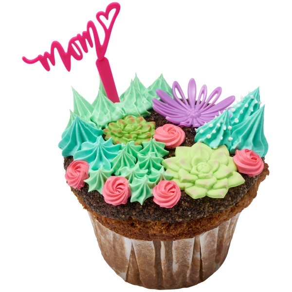 Succulent Cupcake