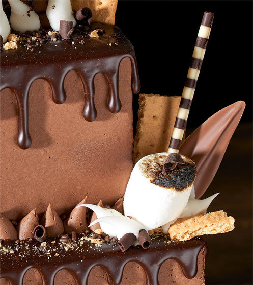 Pure Chocolate Smores Cake Closeup