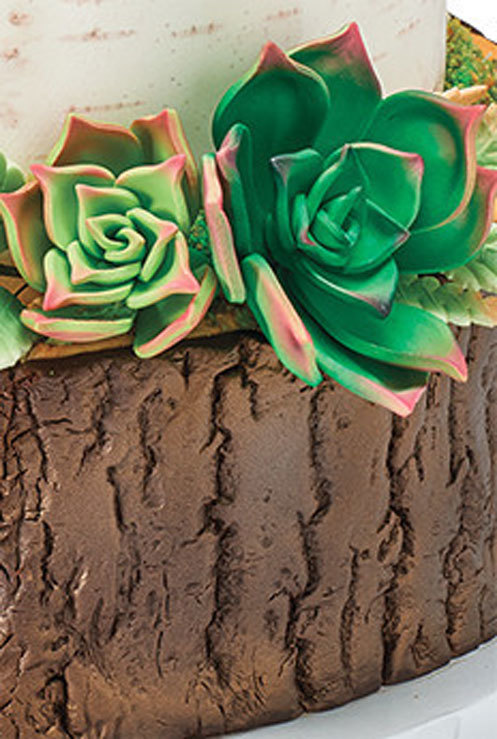 Nature Wedding Cake Theme Tree Bark
