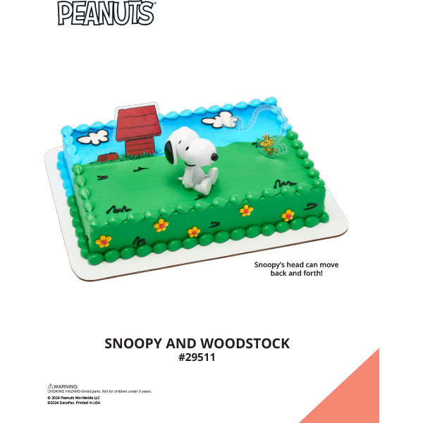 Peanuts® Snoopy® and Woodstock® The Magic of Cakes® Icing Only Page