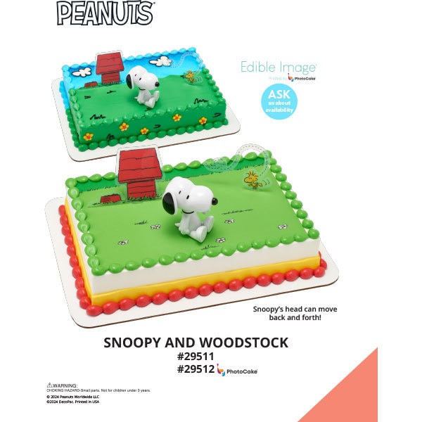 Peanuts® Snoopy® and Woodstock® The Magic of Cakes® PhotoCake® Enhanced Background and Icing Page