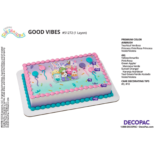 Squishmallows Good Vibes Cake Decorating Instruction Card