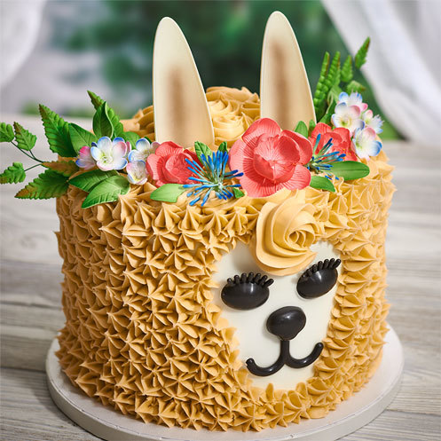 Llama