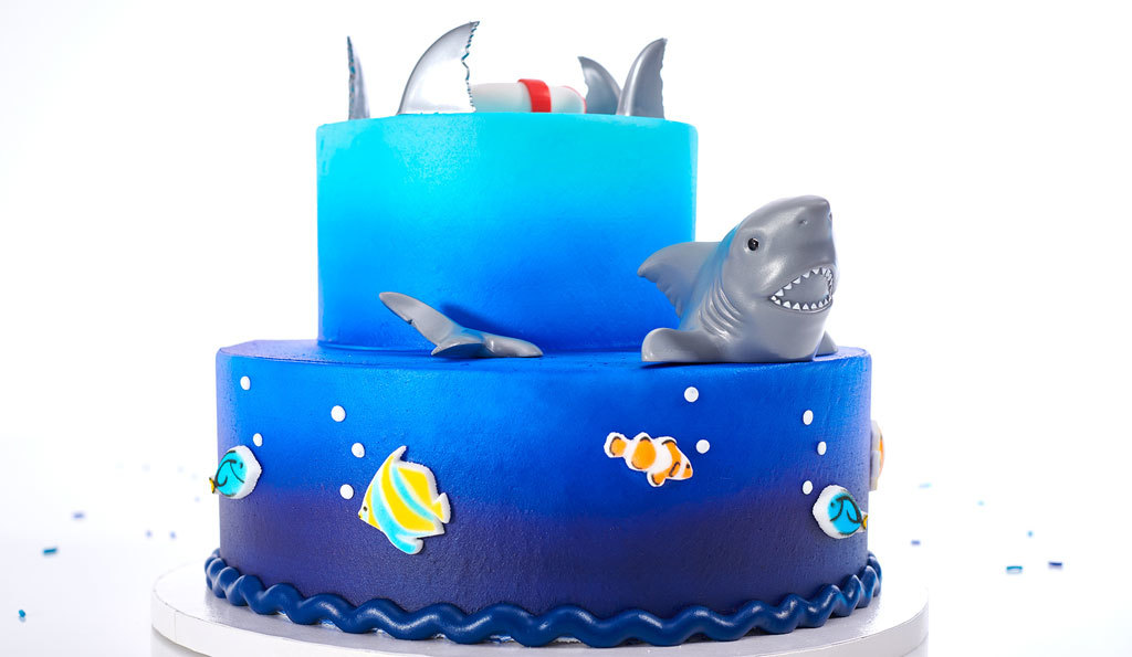 Front Layer Cake Shark