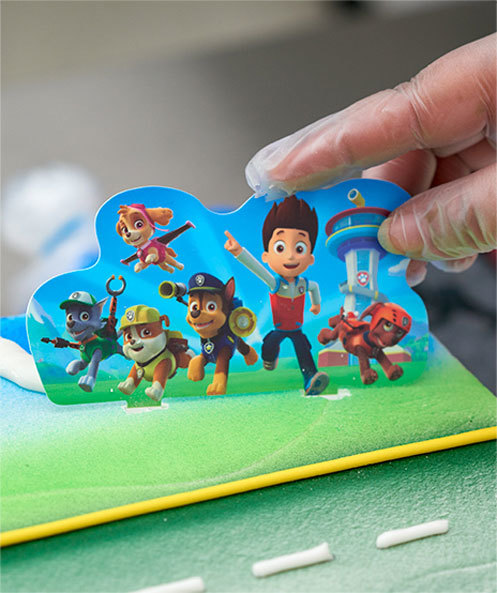 Insider Secrets Stunning Cakes Secure Paw Patrol Team On Cake