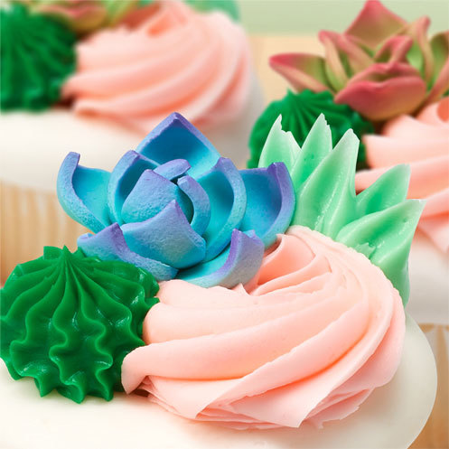 Top Pinterest Trends Succulents Cupcakes