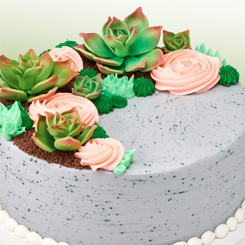 Top Pinterest Trends Succulents Round Cake