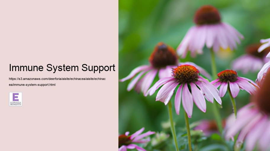 Immune System Support