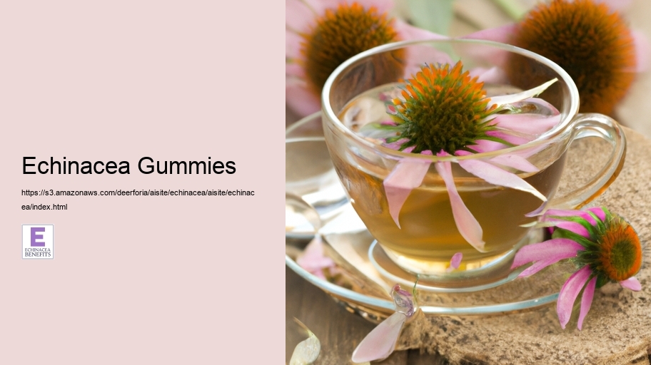 Echinacea Gummies