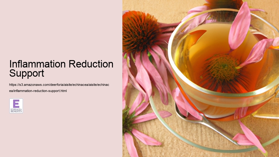 Inflammation Reduction Support