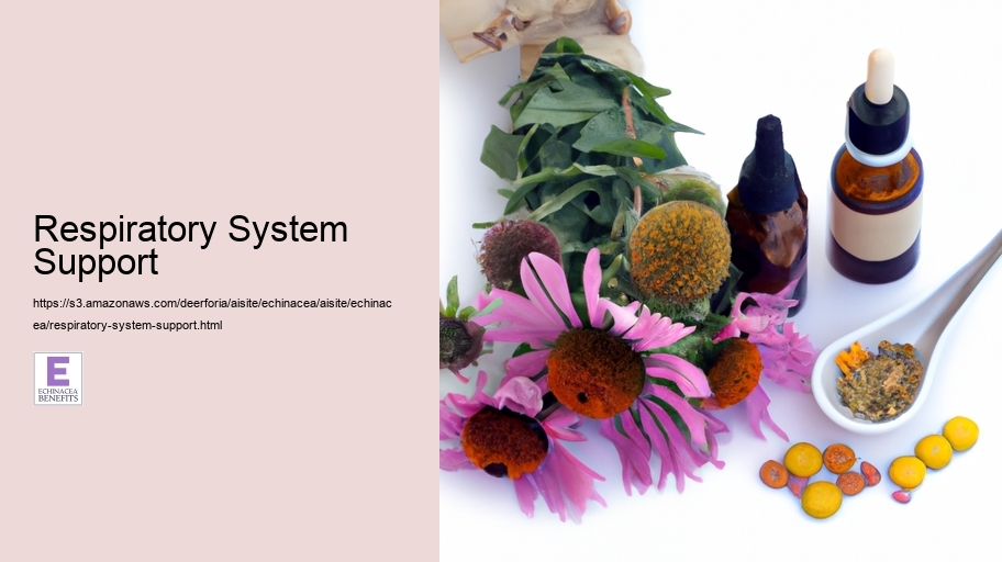 Respiratory System Support