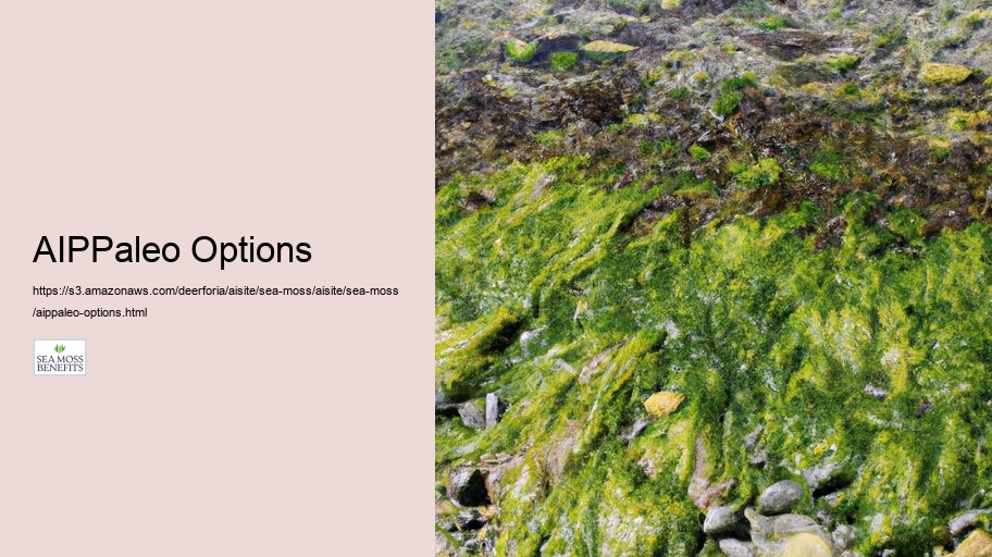 AIPPaleo Options
