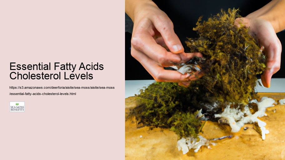 Essential Fatty Acids Cholesterol Levels