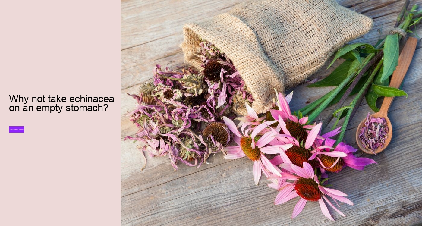 What vitamins are in echinacea?
