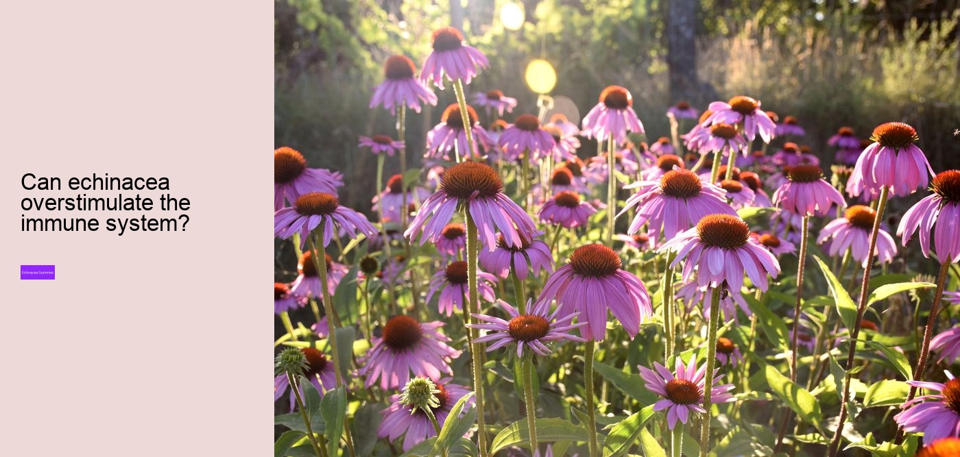 Does echinacea help when you are already sick?