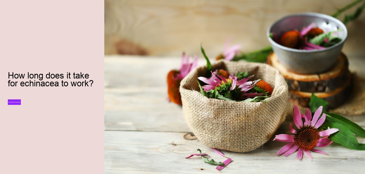 propolis and echinacea gummies