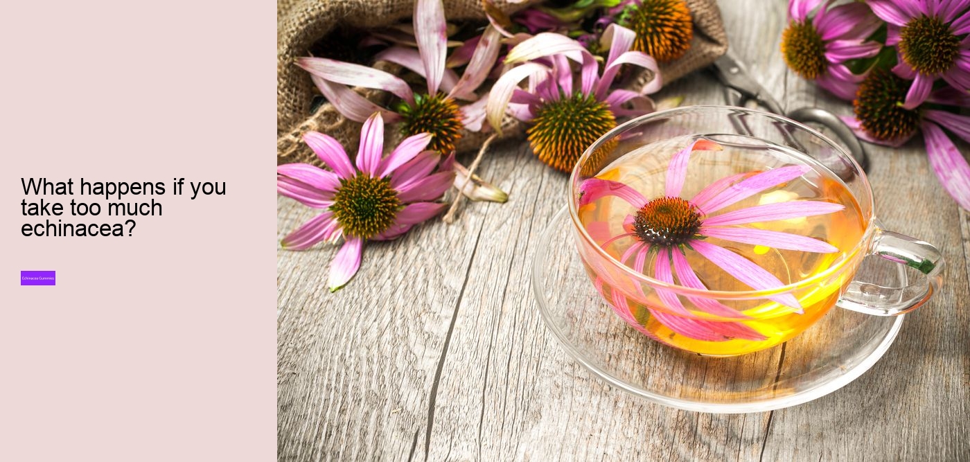 echinacea gummy bears