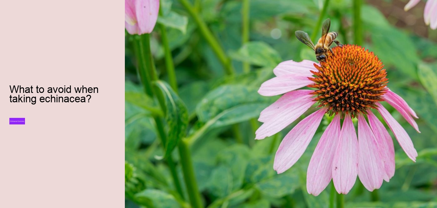 What does vitamin C echinacea do for you?