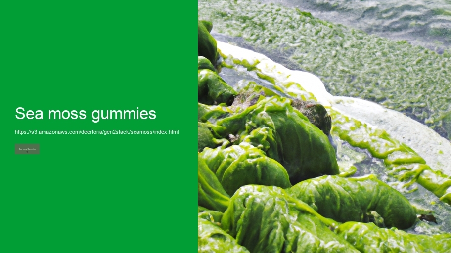 sea moss gummies
