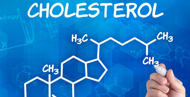 Cholesterolverlagend
