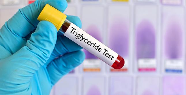 wat te doen bij hoge cholesterol