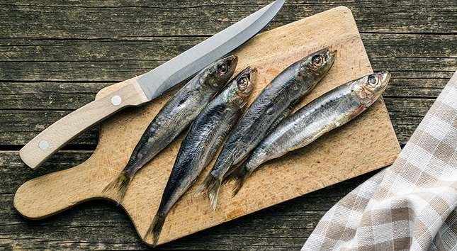Sardines