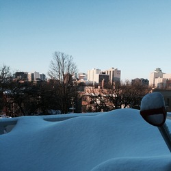 Dave Mcwilliams Dave Mcwilliams