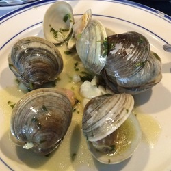 Pedro Marques Pedro Marques