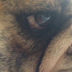 Randy Rooper Randy Rooper