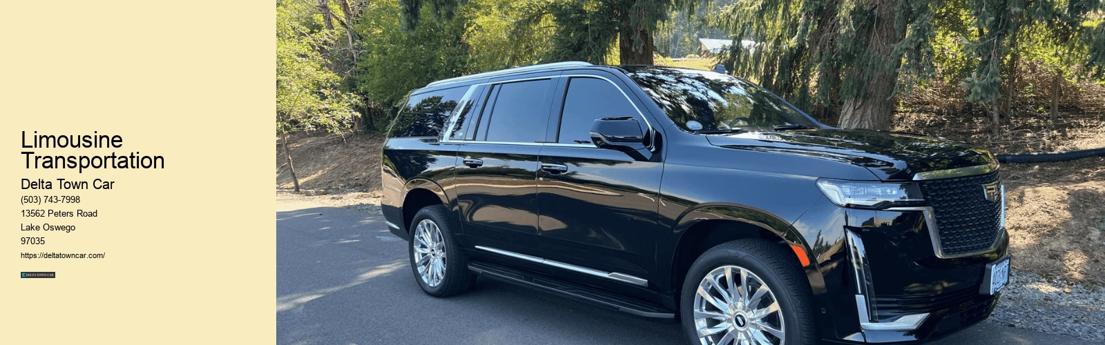 Limousine Transportation