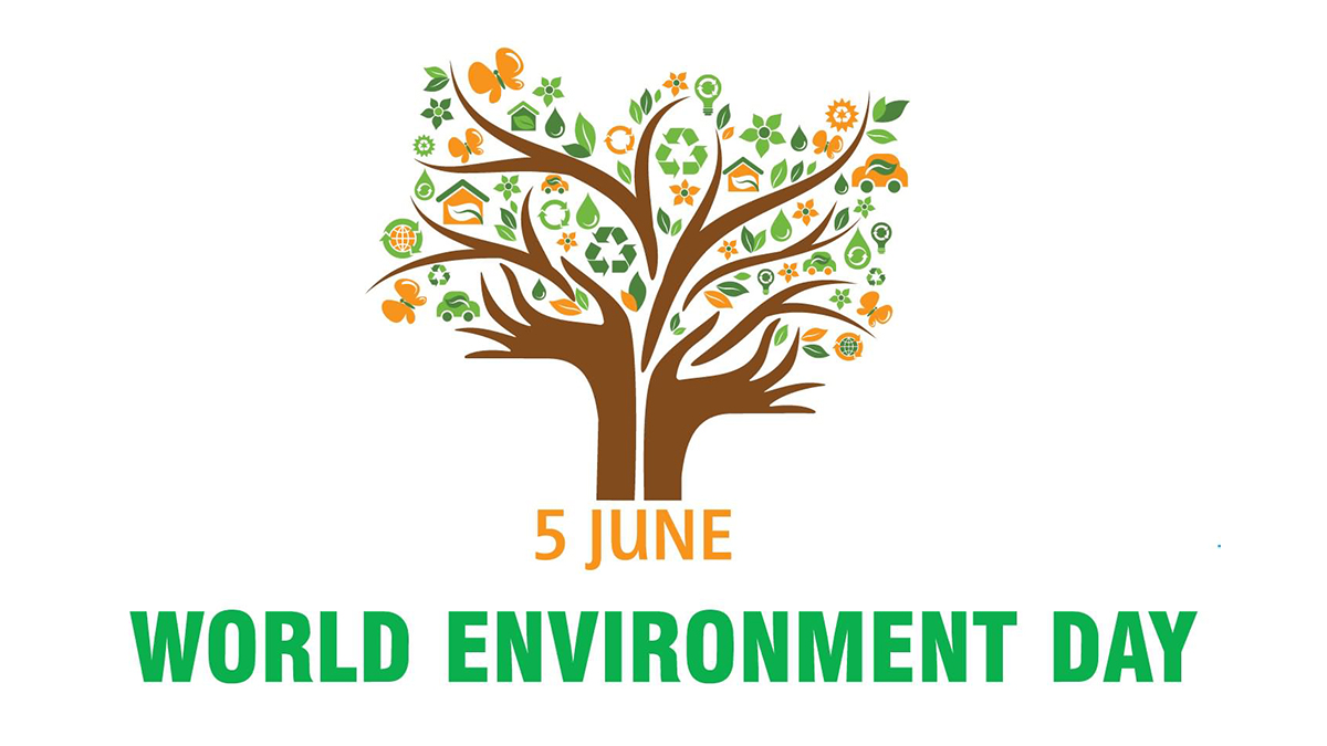 environnement