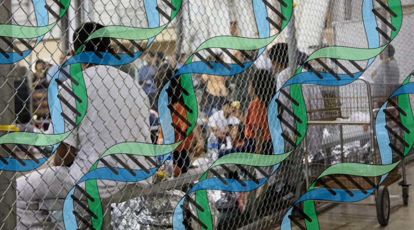 Using Genetic Testing to Predict Cattle Jack Size Outcomes