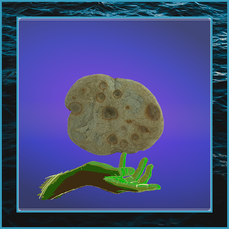 Rock #606