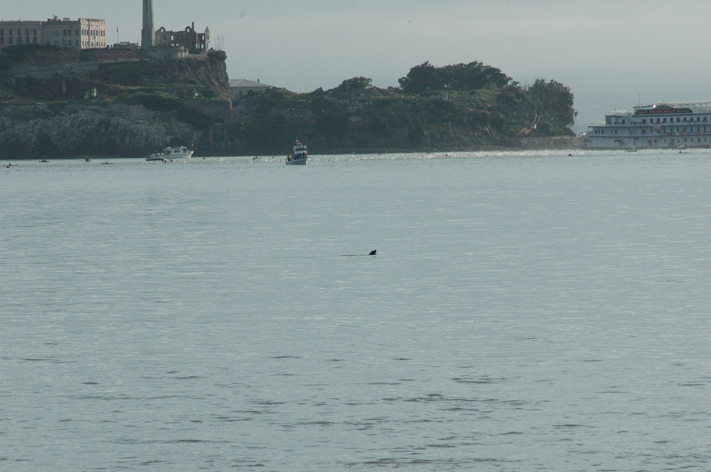 Escape From Alcatraz Triathlon, 2011