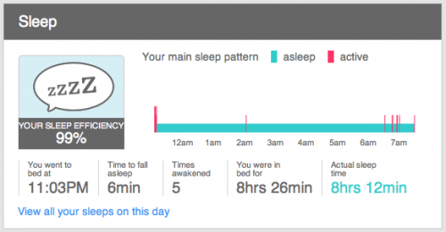 Fitbit Data
