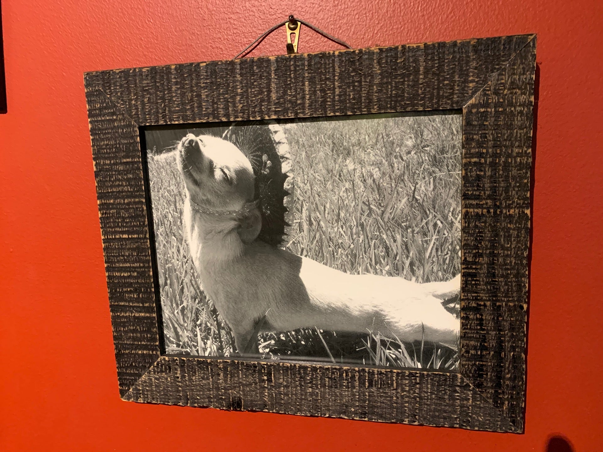 Checked in at Taco Joint