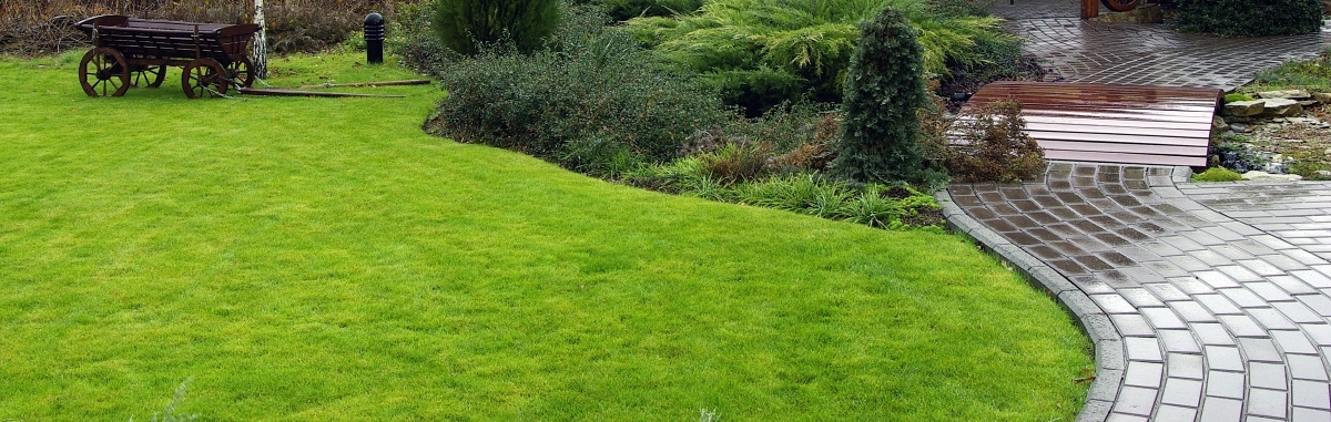 Custom Landscaping Solutions for Denver Residences