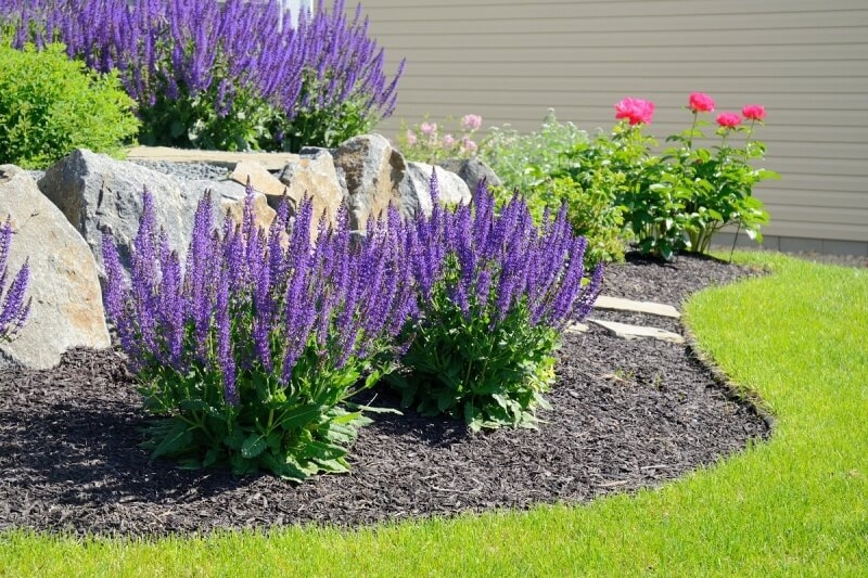 Best Denver Landscapers