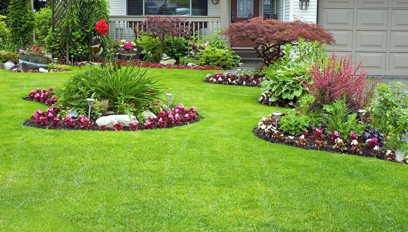 Eco-Friendly Garden Care Denver