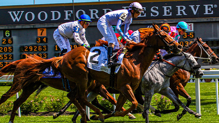 horses racing across grass